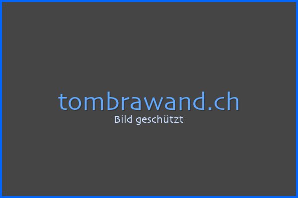 Comic-Skizze der Website Tom Brawand • Fotografie
